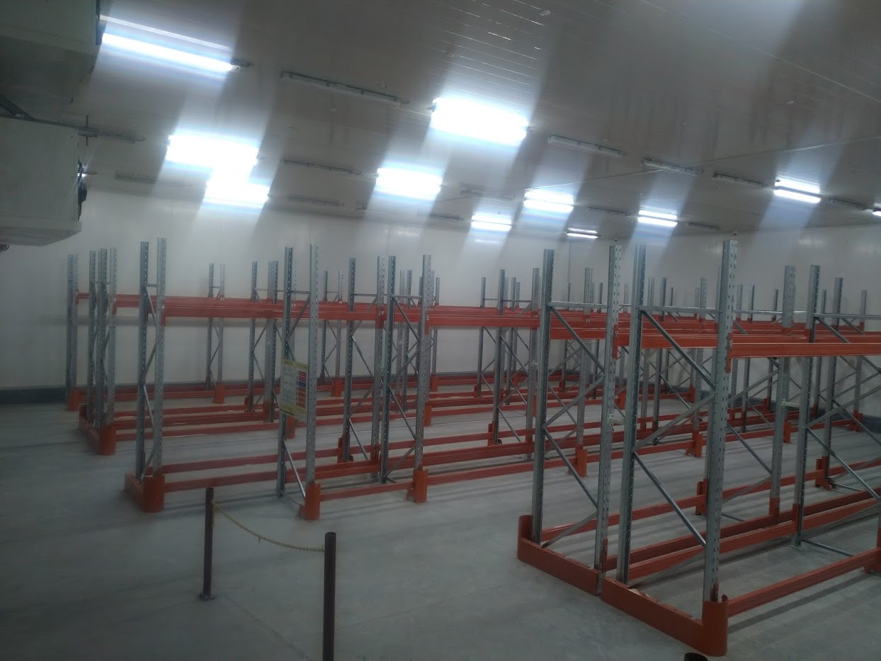 Lautoka Freezer 2